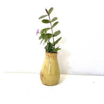 Rustic Vases